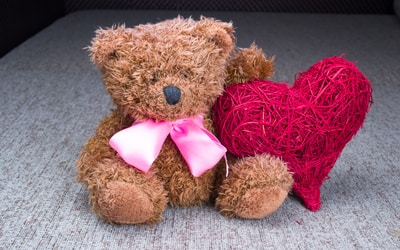 Charity Teddy BEar